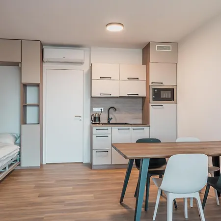 Apartment Muslovske Vinohrady *