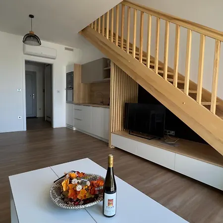 Apartment Muslovske Vinohrady Mikulov