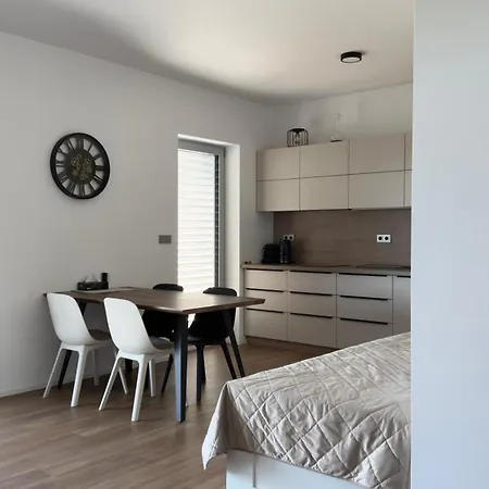 Muslovske Vinohrady Apartment Mikulov