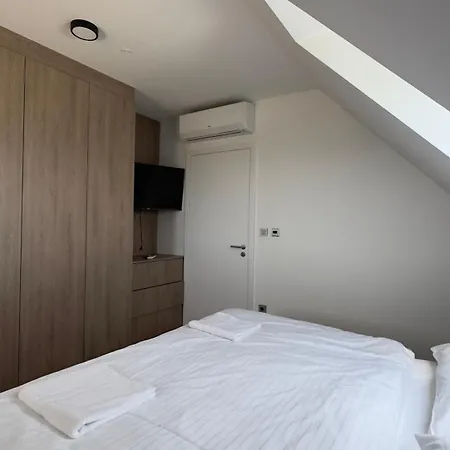Apartment Muslovske Vinohrady *