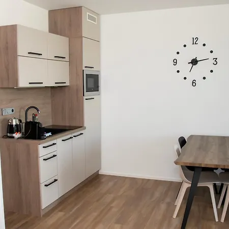 Apartment Muslovske Vinohrady *