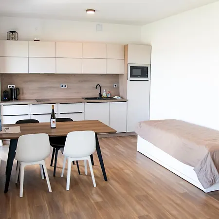 Apartment Muslovske Vinohrady Mikulov